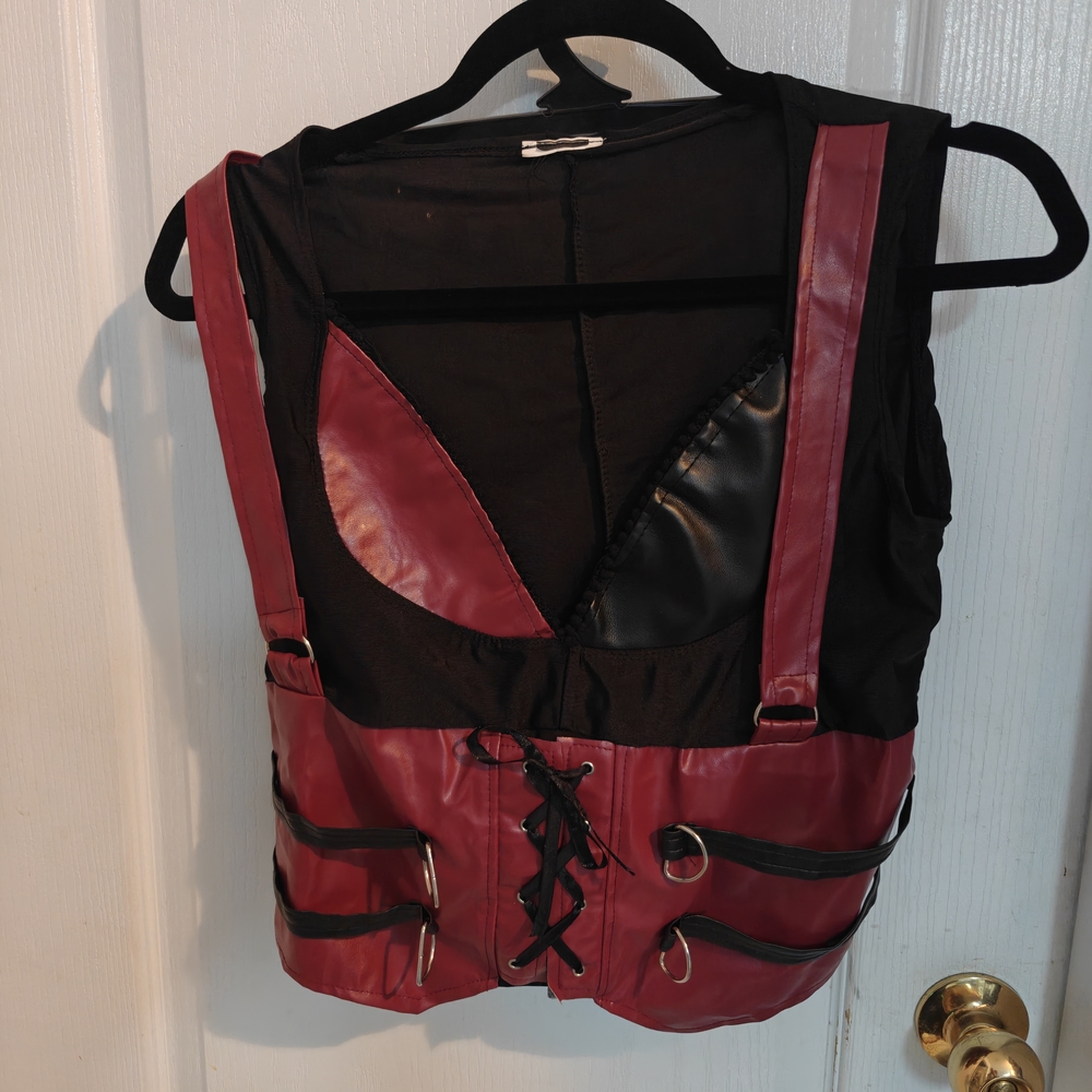 Harley Quinn Arkam City Costume
